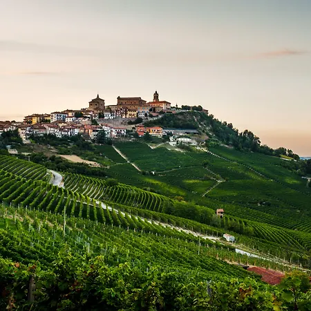 Uve & Wine Bar La Morra